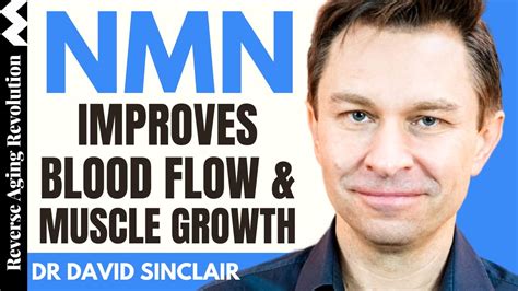 <b>David</b> <b>Sinclair</b>’s supplement stack. . David sinclair nmn brand